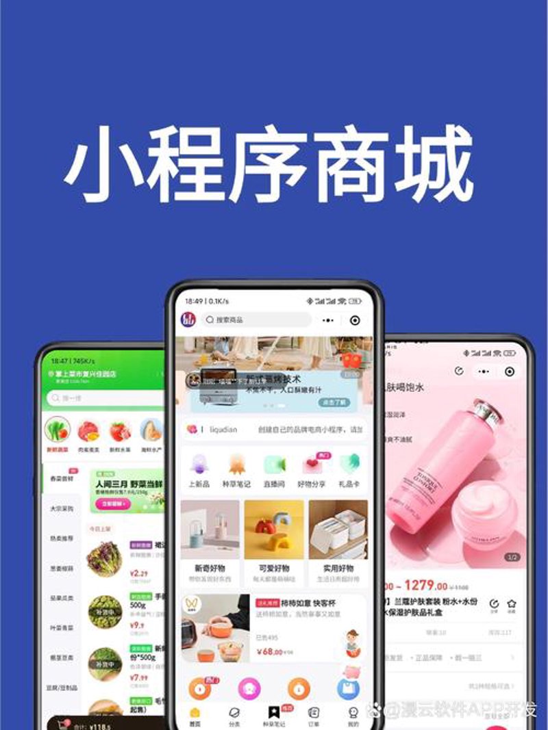小程序开发：构建微生态新体验